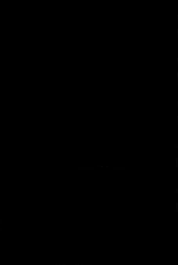 Dark Silhouette_ Guitarist