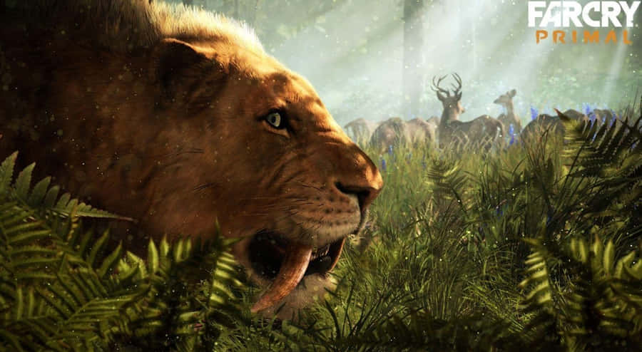 1366x768Far Cry 4 Baggrund Sabertandtiger
