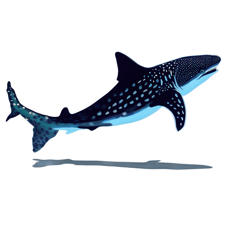 Retro Whale Shark Poster PNG 35