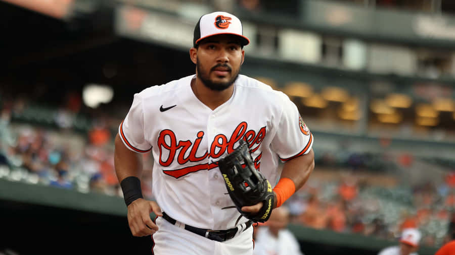 Baltimore Orioles Outfielder Anthony Santander in Aktion
