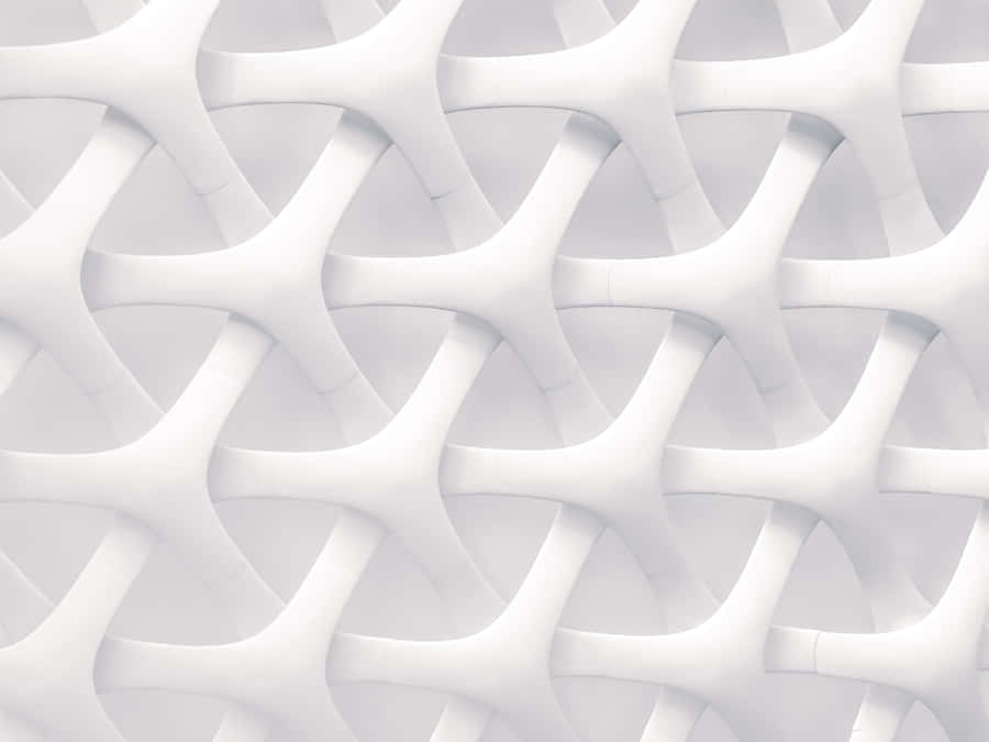Hvid Baggrunde 3905 x 2929