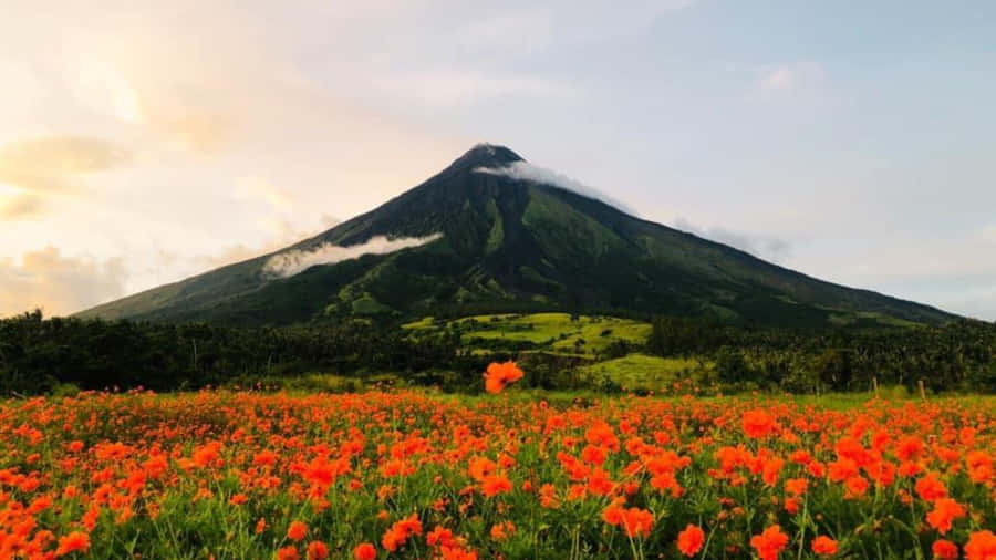 Mountains background