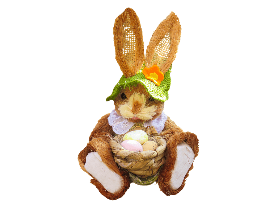 Easter Bunnywith Eggs