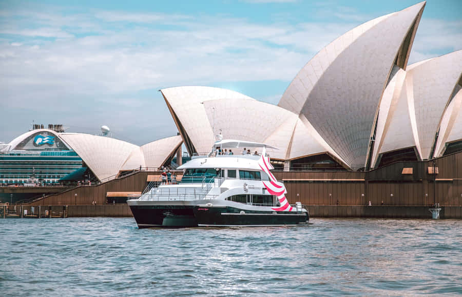 Sydney Harbour Kreuzfahrt mit Opernhausansicht