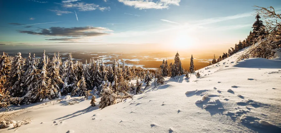 Winter Laptop