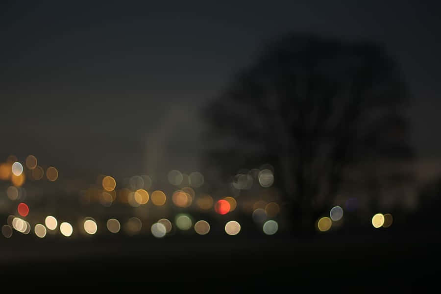 Paisagem Noturna de Árvore com Bokeh de Inverno Escuro