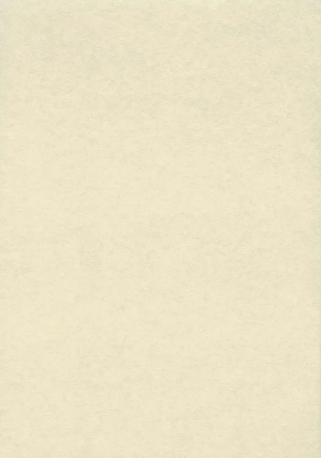 Plain Beige