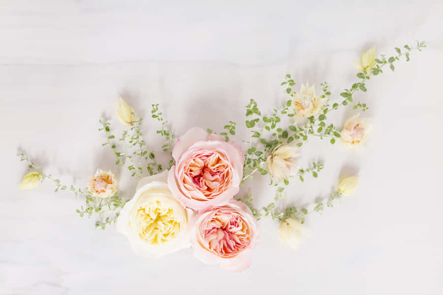 Elegante Blumenanordnung Desktop-Hintergrund