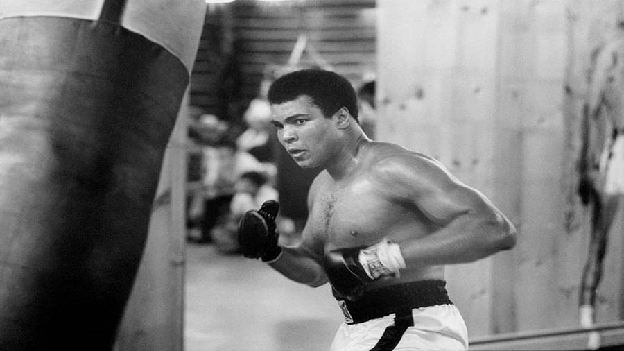 Download Muhammad Ali In Training Wallpaper | Wallpapers.com