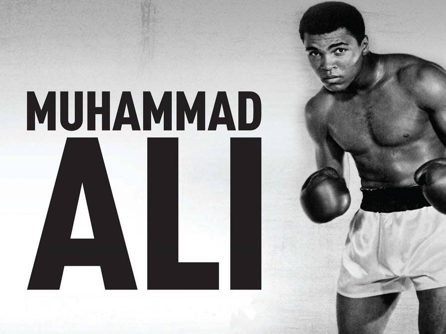 Download Muhammad Ali The Boxing Legend Wallpaper | Wallpapers.com