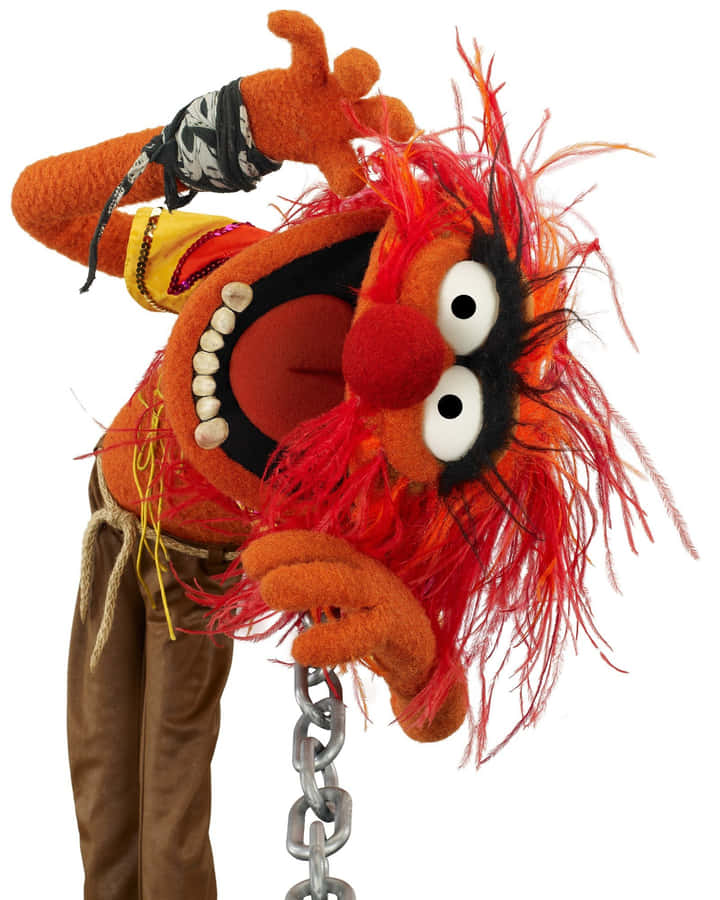 Animal Muppet