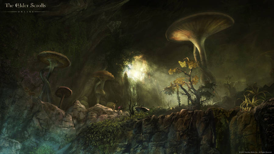 Download Mushrooms Morrowind Elder Scrolls Online Wallpaper 