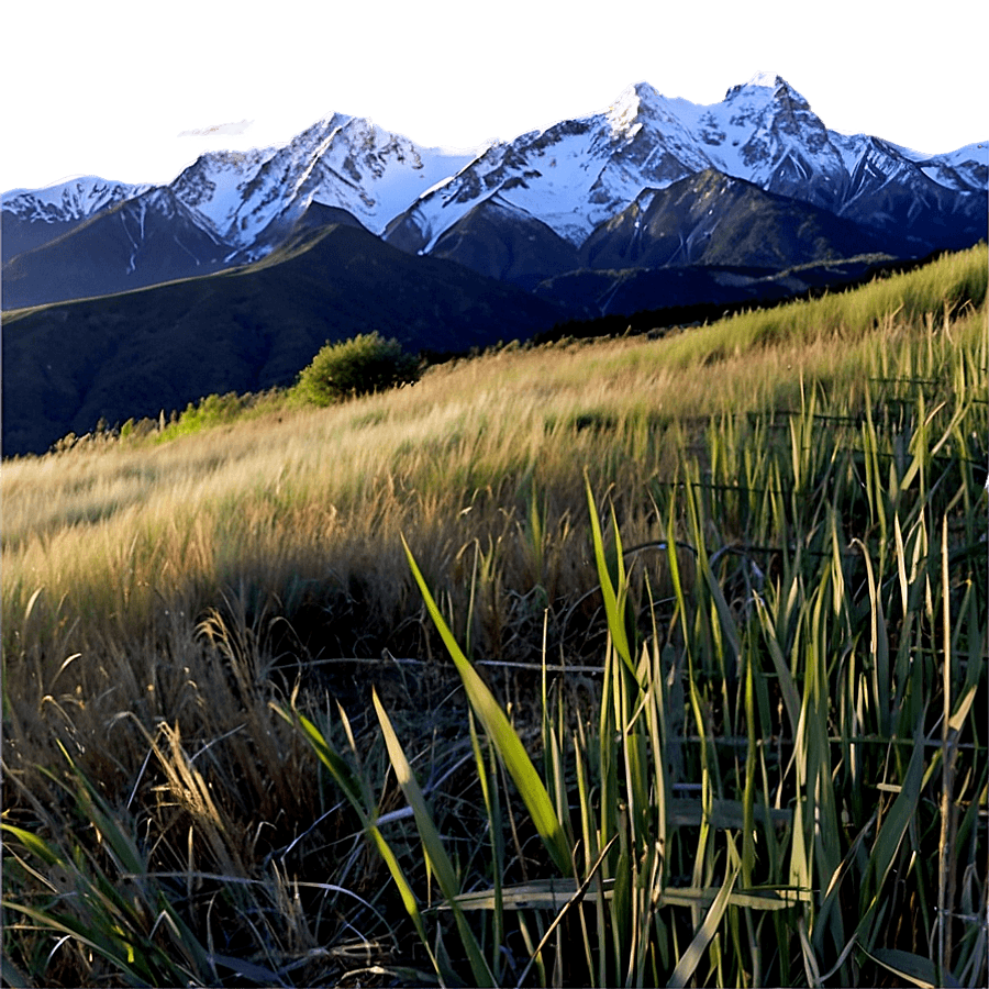 Tall Grass and Mountains PNG yvb84