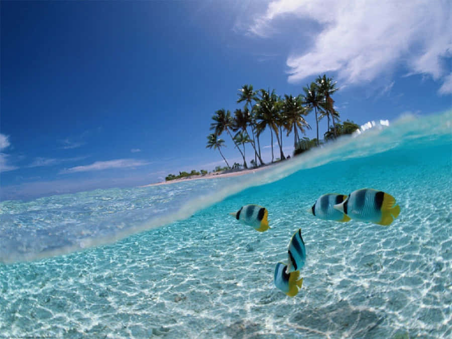 BaliBeach 1600 x 1200 bakgrundsbild