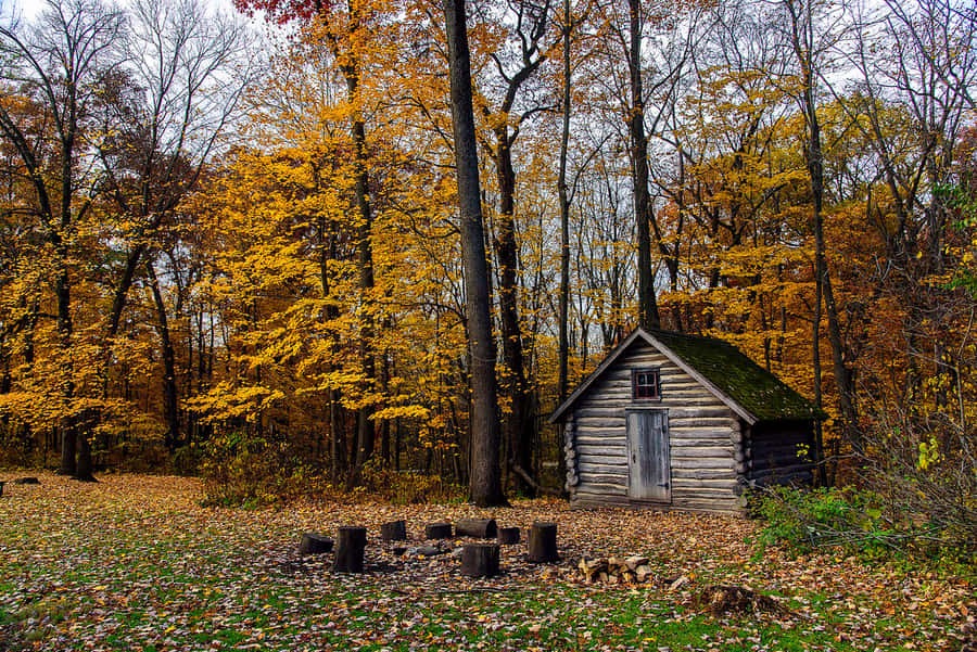 Herbsthütte1024 x 684 Hintergrundbild