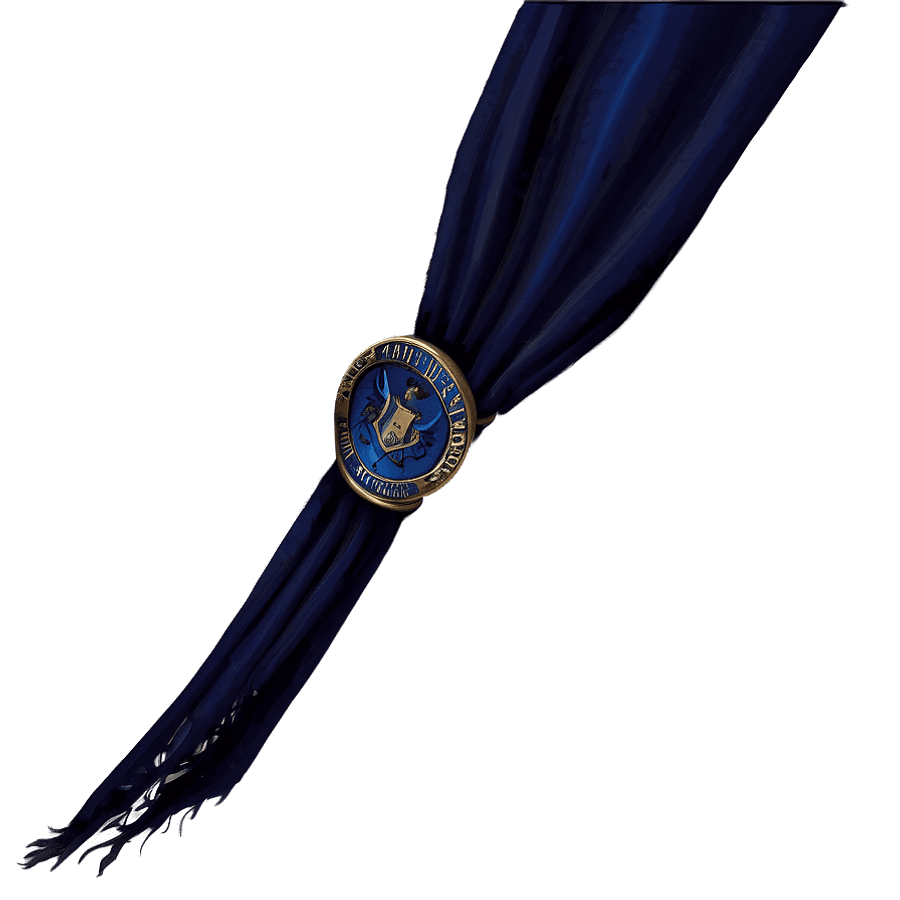 Ravenclaw Wizard Robe PNG duq34