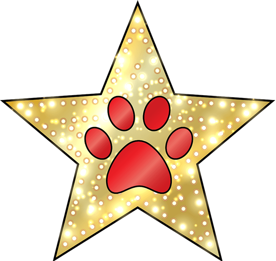 Golden Star Paw Print