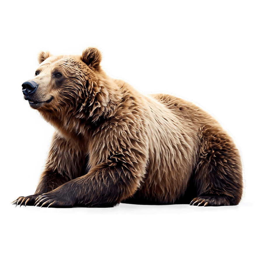 Animated Brown Bear PNG 83