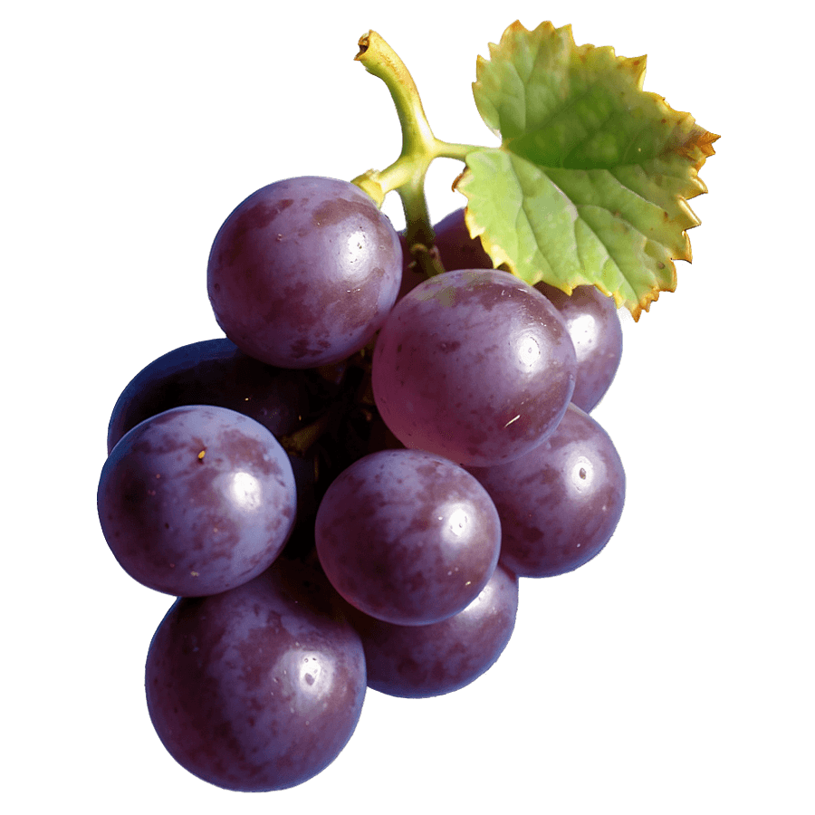 One Grape Icon PNG 06292024