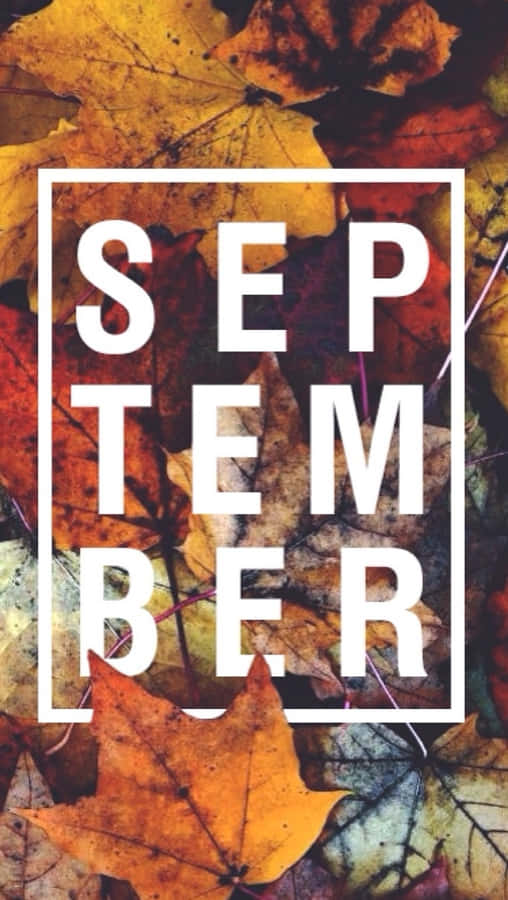 September Herbstblätter Ästhetik
