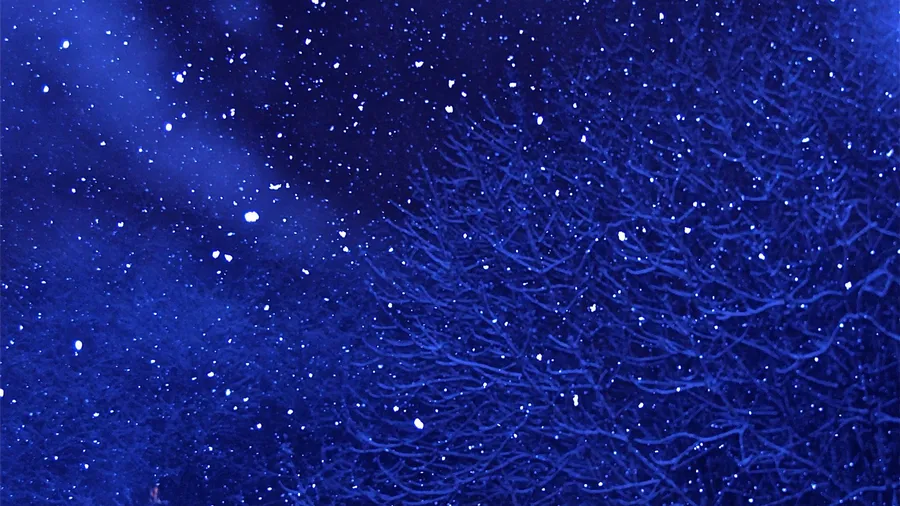 Starry Night background
