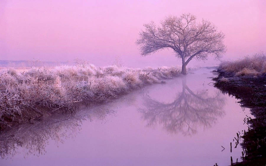 Featured image of post The Best 28 Light Purple Aesthetic Background Landscape