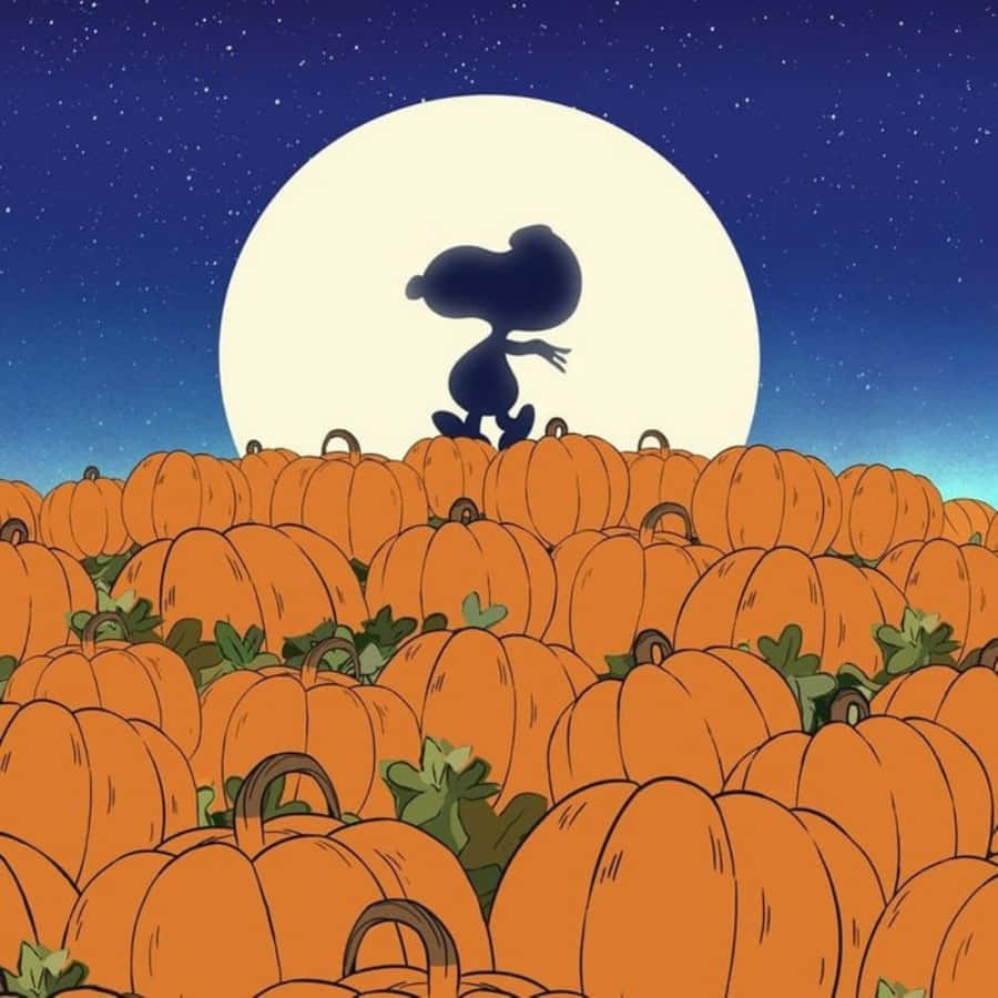 CharlieBrown Halloween billeder.