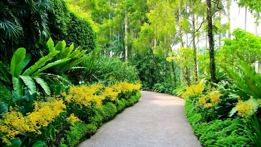 Gardening background