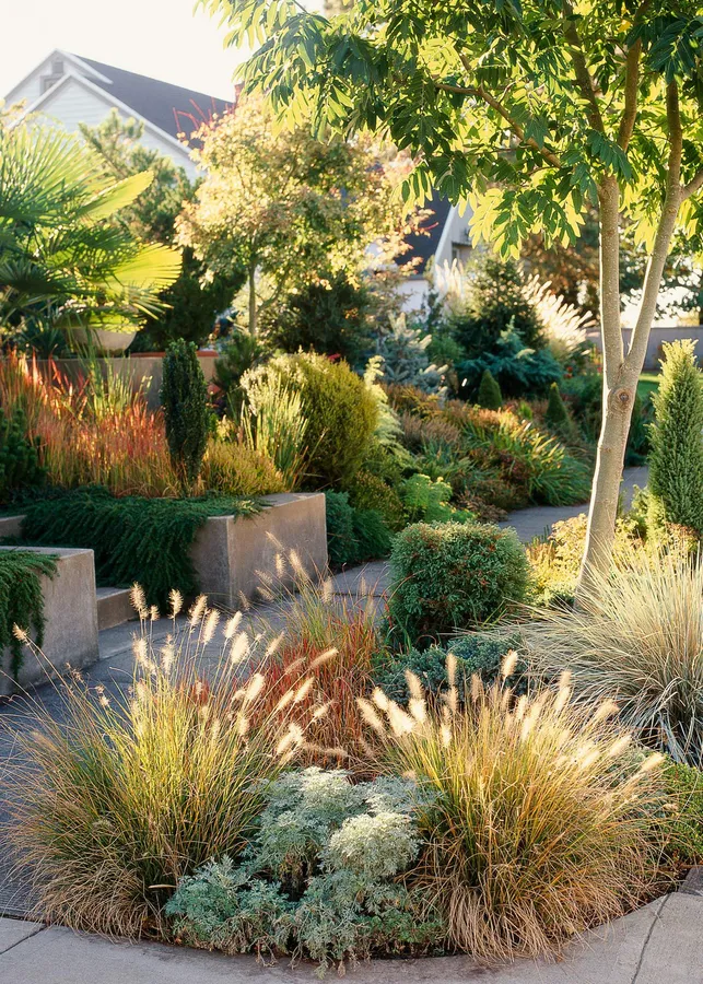 Garden pictures
