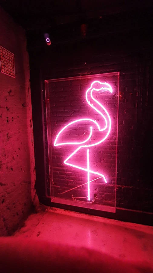 Download Neon Pink Aesthetic Flamingo Light Wallpaper Wallpapers Com