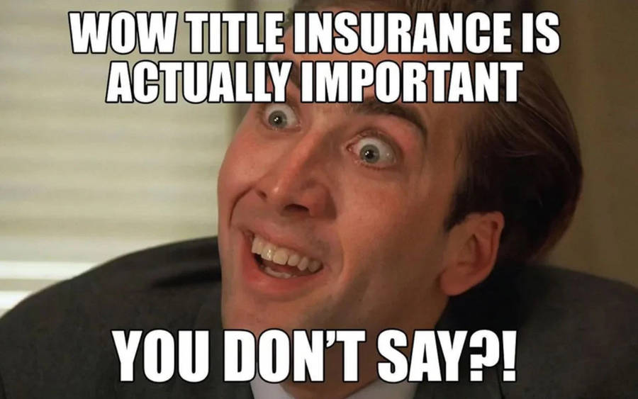 Download Nicolas Cage Meme Title Insurance Wallpaper | Wallpapers.com