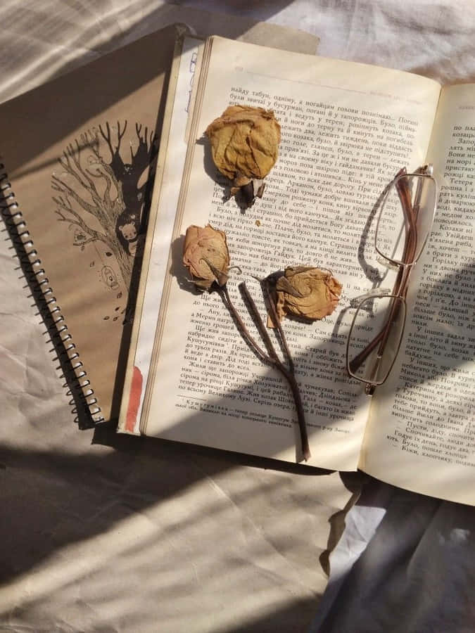 FesselndeStapel von Büchern, die Geschichten erzählen, zum Nachdenken anregen und die Vorstellungskraft beflügeln.