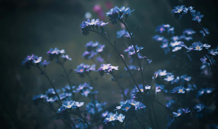 Vintage Blaues Blumenmuster
