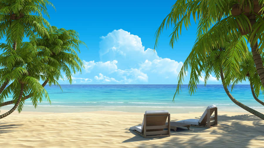 Lounge stoler den bedste strand baggrund.