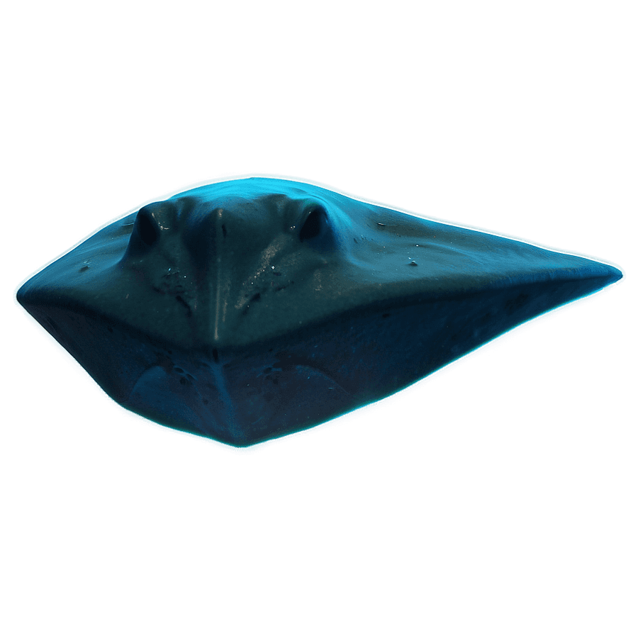 Stingray Glow PNG uqc95