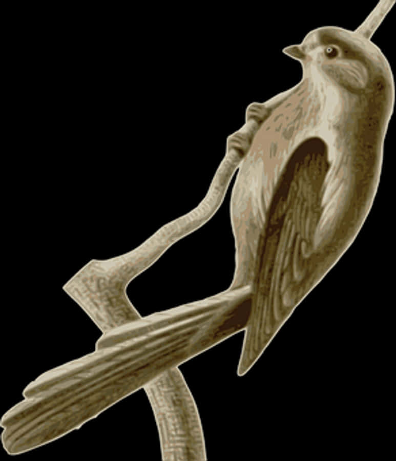 Carved Wooden Bird Perched