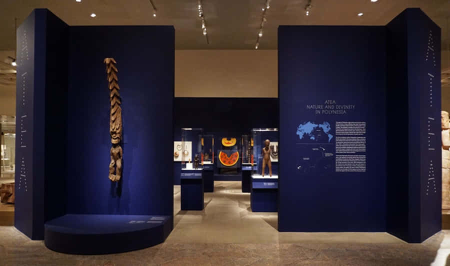 Emozionantenuova mostra al museo