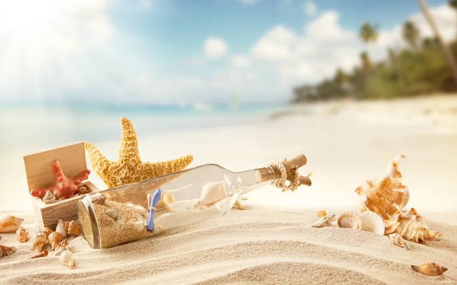 Message Bottle And Shells In Shore wallpaper