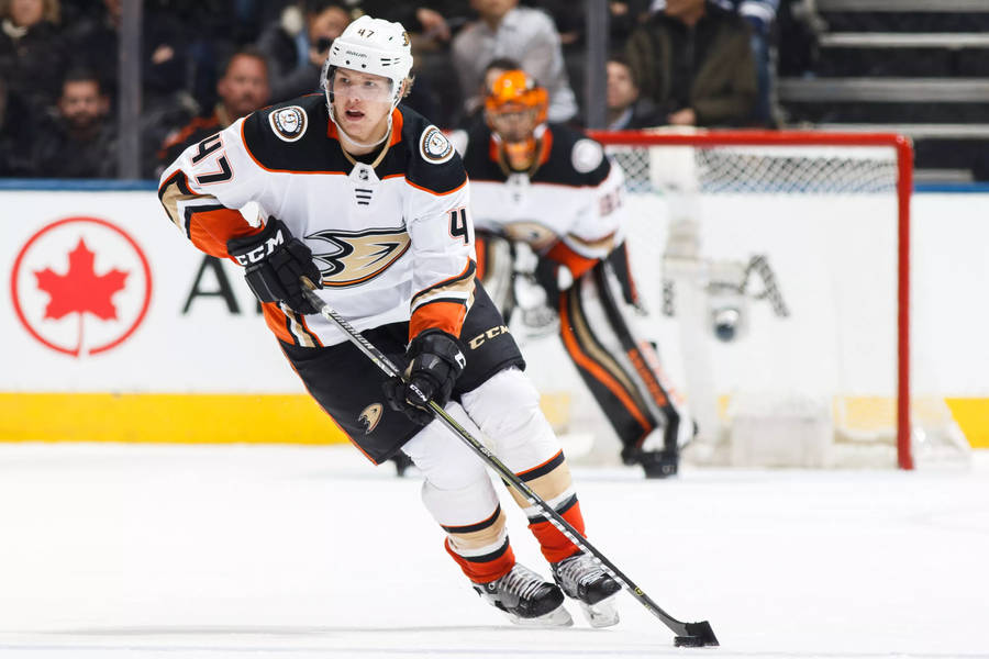 Hampus Lindholm Ice Hockey Defenseman