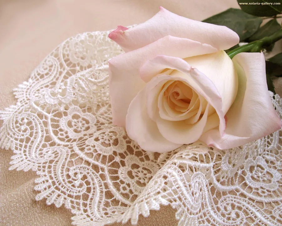 Ivory background