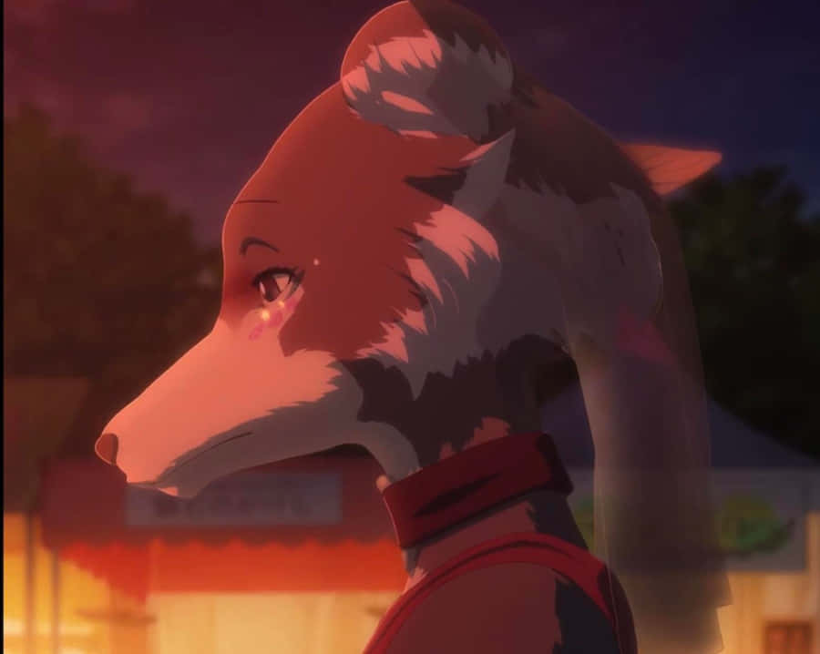 Beastars Juno Contemplazione Serale