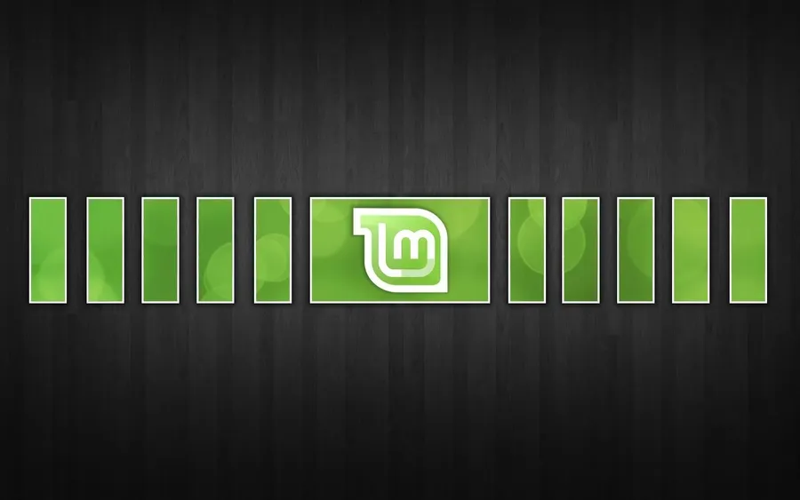 Stunning Rectangular Frames Featuring Linux Mint Logo