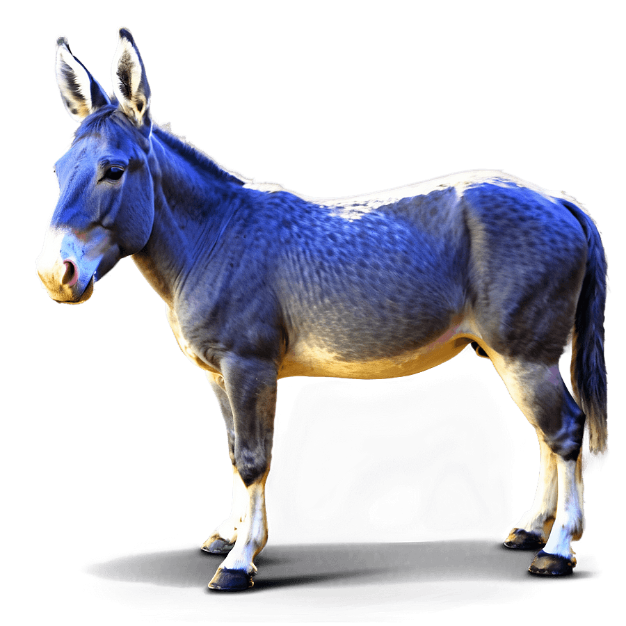 Majestic Mule Stance PNG aru89