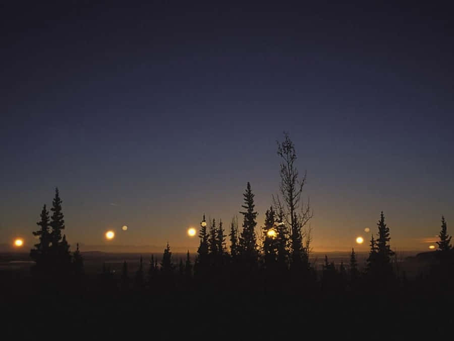 WinterSolstice 1200 x 900 Hintergrundbild