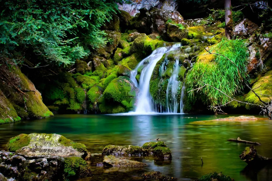 Photography Nature Background