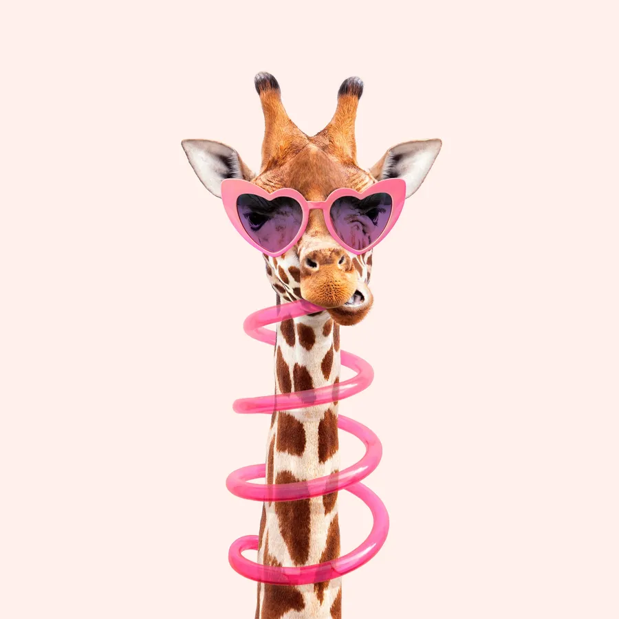 Giraffe background