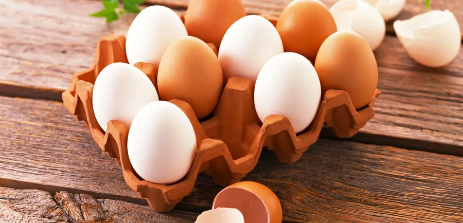 Egg background