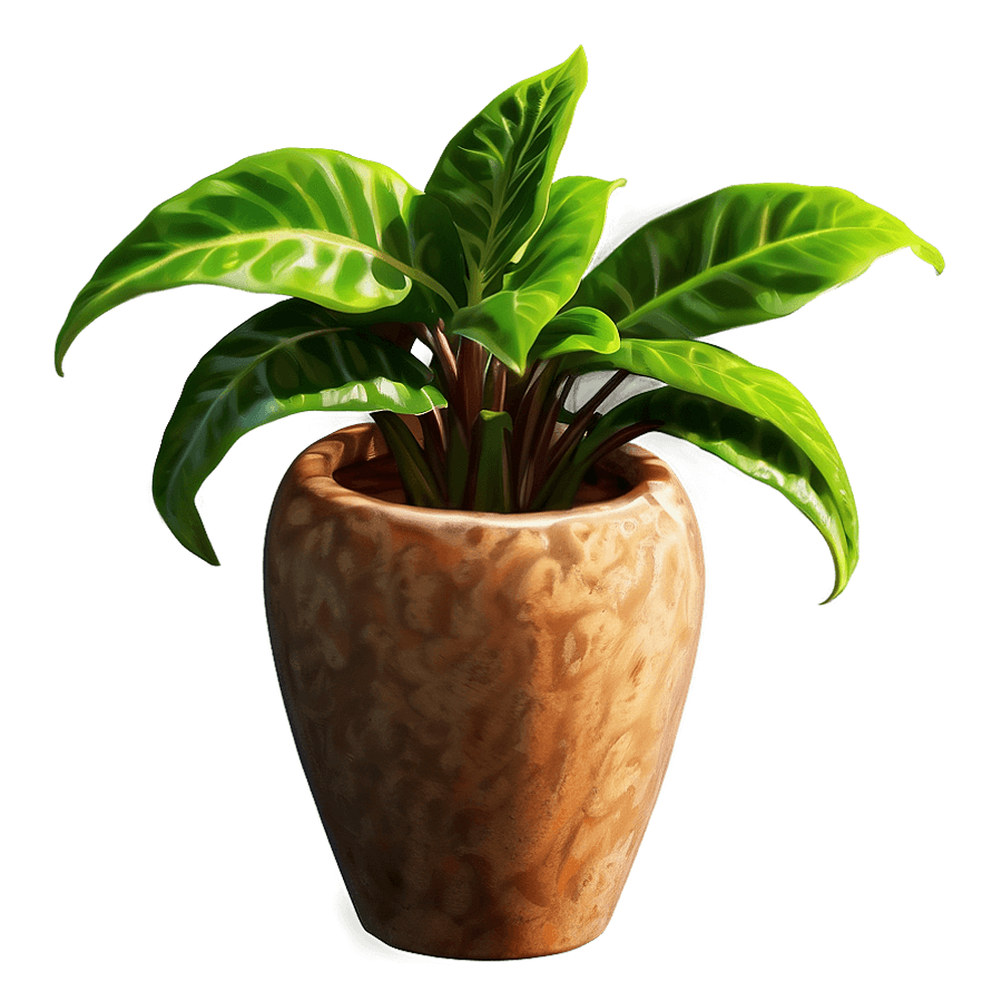 Rare Potted Plant PNG ess91