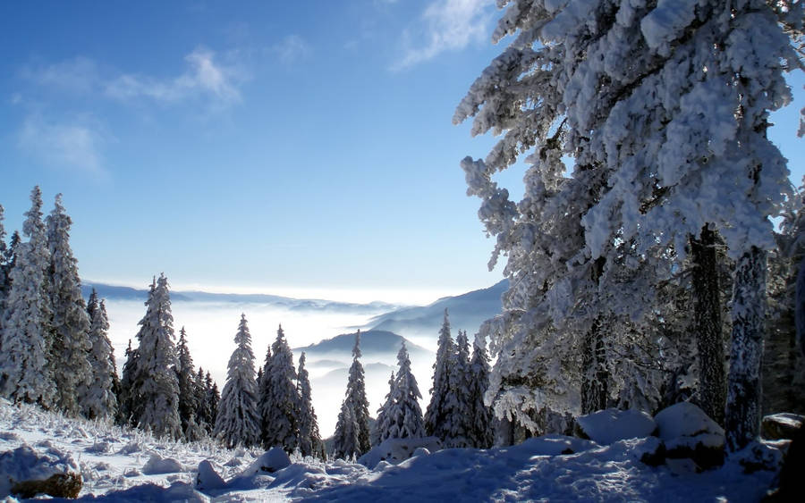 Paesaggio panoramico di montagna fredda