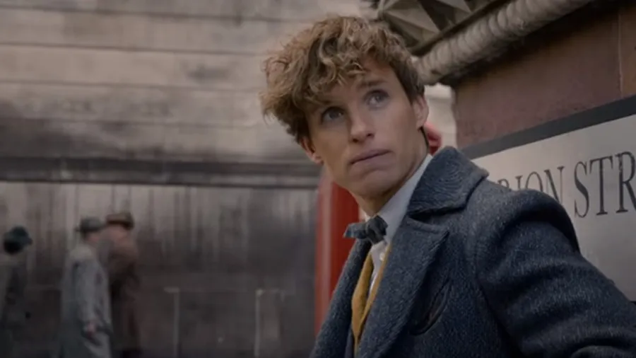 Newt_ Scamander_ Looking_ Back